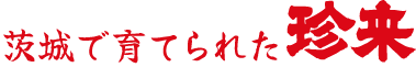 茨城で育てられた珍来